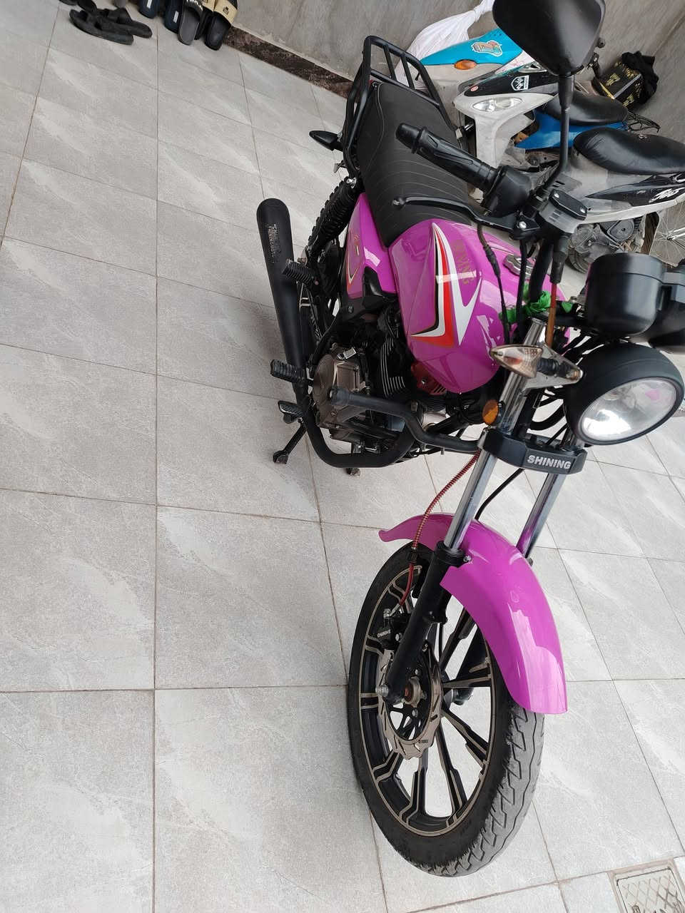 شاينك فحل الشكل المرغوب لون مميز موديل 25 اوراق كامله اسكنر طالعه من مجمع السلامي ورقه الوكيل موجوده السعر 850 اوبيه مجال قليل حك الجيه مكاني بابل ***********
