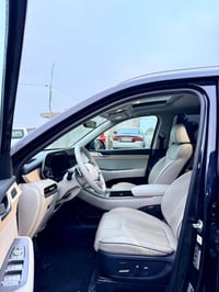 باليسايد • ٢٠٢٣ • صبغ فقط