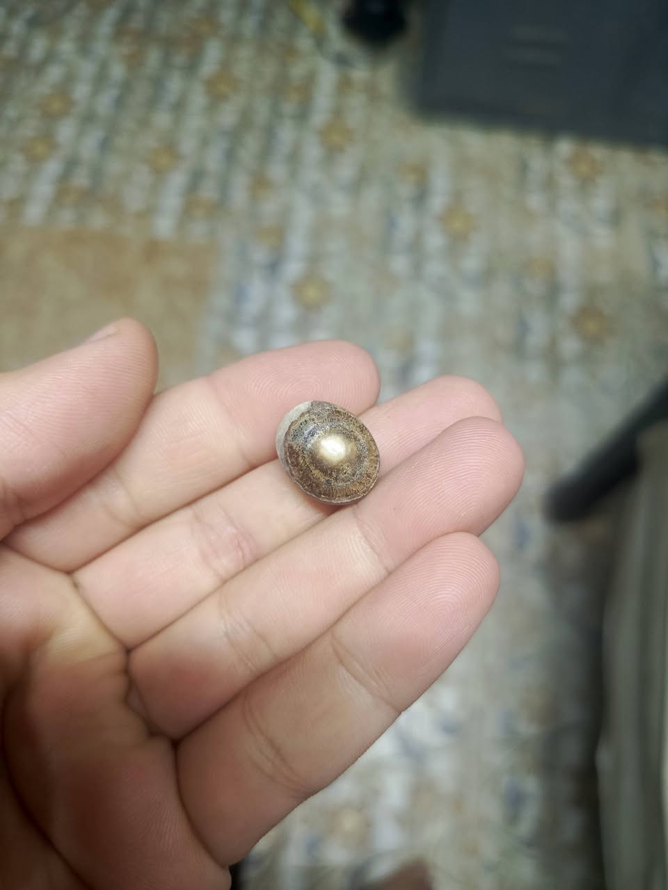 للبيع


**إذا كنت صاحب هذا الإعلان وتريد حذفه لأي سبب، رجاءا أرسل رسالة إلى الدعم الفني**