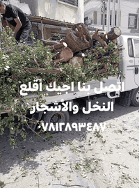 أقلع النخل • إزالة أشجار