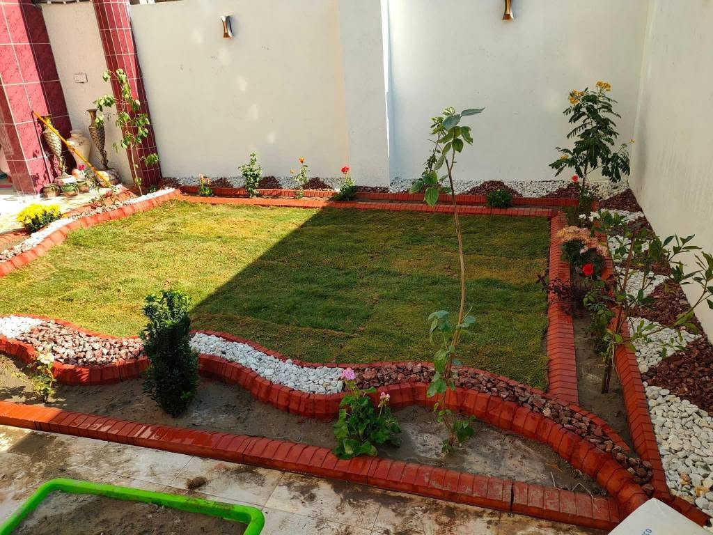 الحمد لله علئ حياة يدبرها الله برحمته🤲 حديقتك المنزلية🏡 راحة نفسية وراحة بال لاتوصف👨‍👩‍👧‍👦 نسق حديقة بيتك علئ ذووقك🤗 متخصص في تصميم وتنفيذ الحدائق المنزلية ب أحدث الديكورات 
تصميم وترتيب ديكورات + زرع حدائق +زرع اشجار +
تقليم الأشجار + قص ثيل + قلب وتنظيف تربه +
تنظيف وترتيب الحدائق ترتيب + تبديل تربه + تكريب وتلقيح كافه انواع النخيل.  +
ترتيب اطارات الحدائق بل حصو  الملون 
ترتيب سياج الحدائق بل طابوك الملون 
❄ يوجد  ادامه الحدائق والادويه  كافه انواع 🍶الادويه والمبيدات متوفره لدينا 🍀.***********. *********** دهل اوران, واسط
