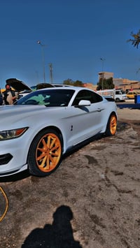 موستنك ٢٠١٥ • ستة سلندر • حادثة خفيفة