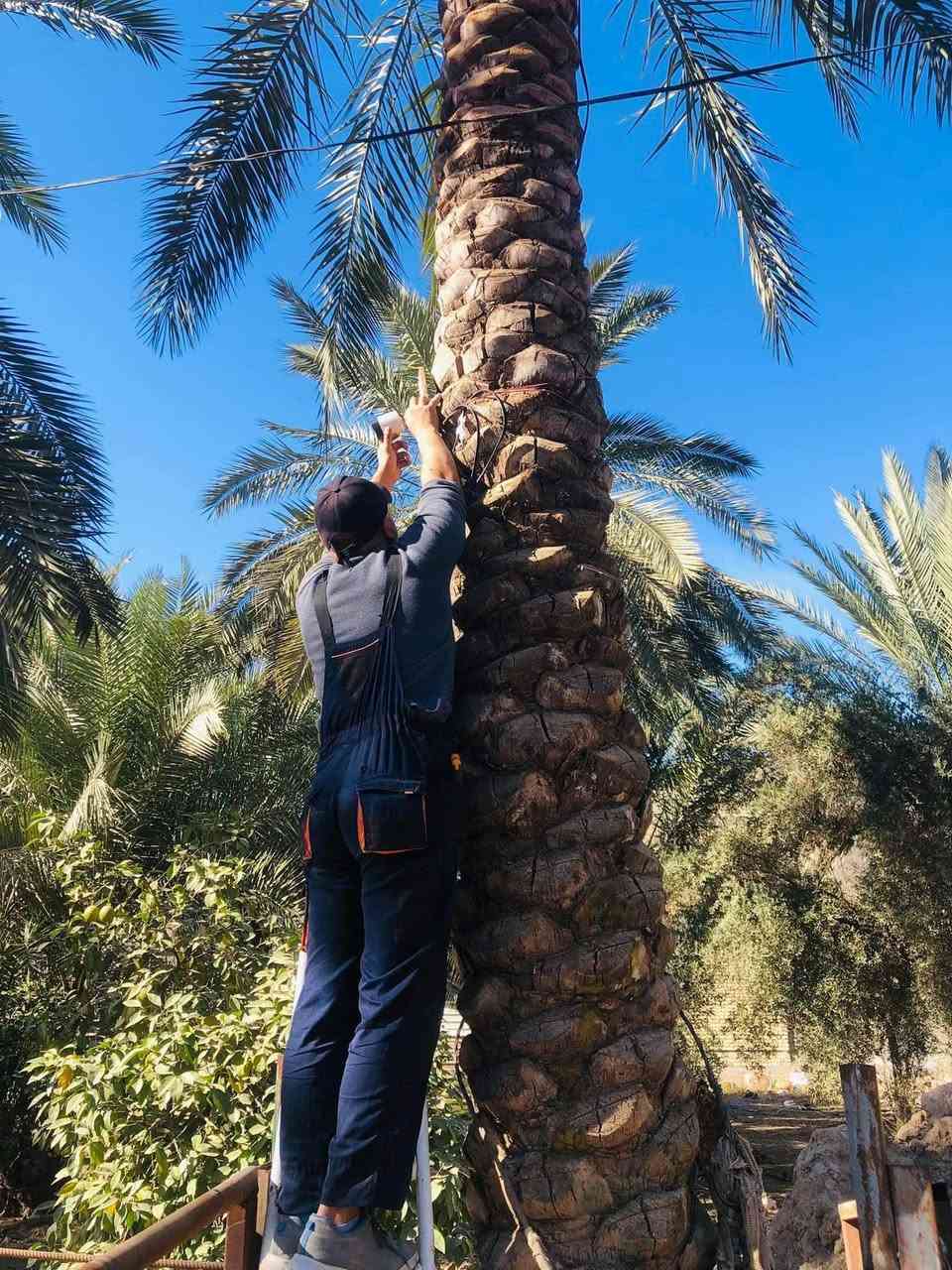https://www.facebook.com/share/p/18mk3rL9b1/?mibextid=wwXIfr


**إذا كنت صاحب هذا الإعلان وتريد حذفه لأي سبب، رجاءا أرسل رسالة إلى الدعم الفني**