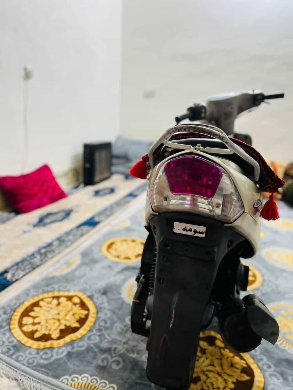 السلام عليكم
حبايب ماكس منغولي مكفوله من كلشي 
مكانهه طويريج السعر 700وبيهه مجال للطيبين 
***********
