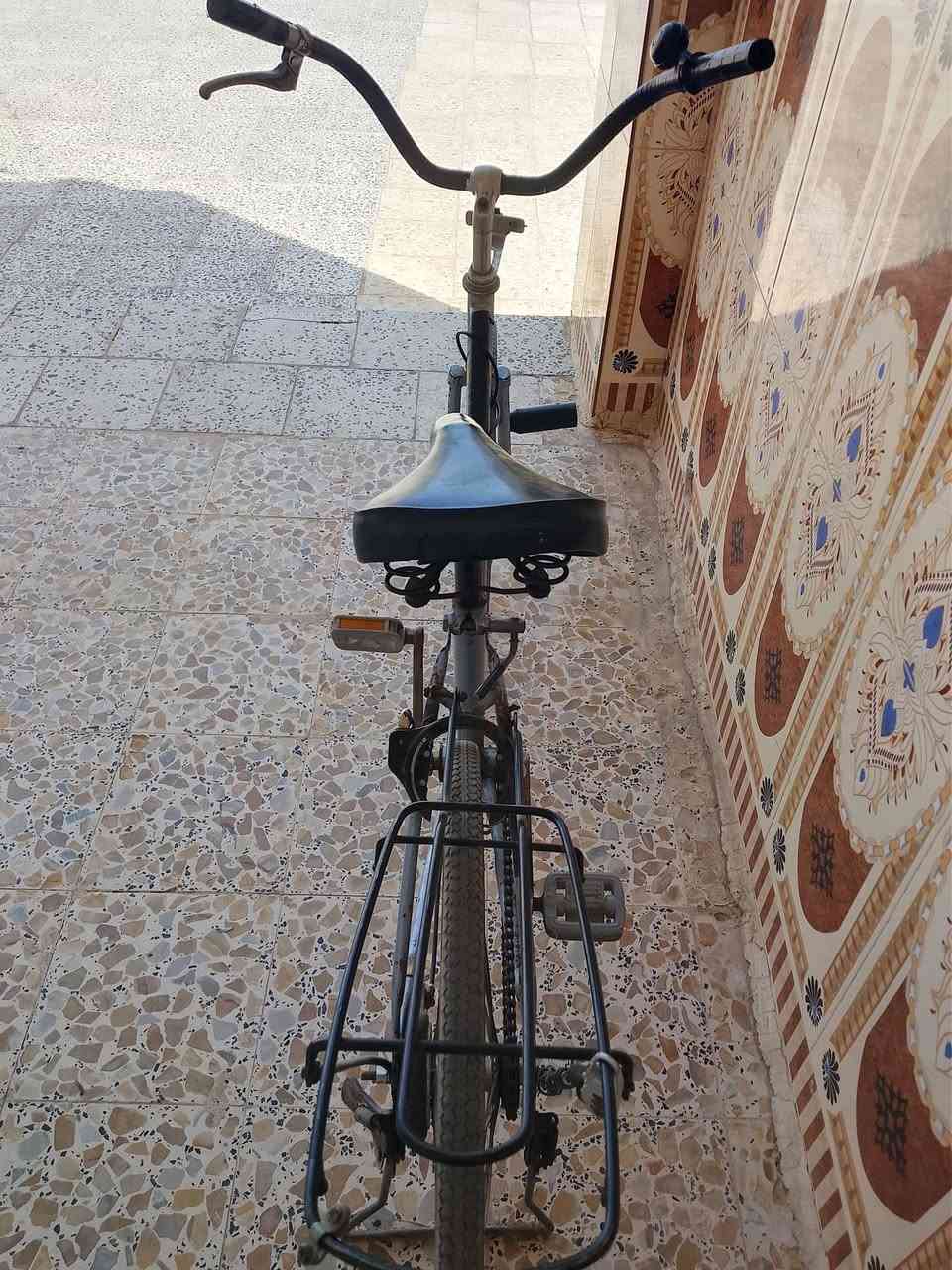 سلام عليكم بيسكل سعره 75 الف فقط ياباني ماكو توصيل


**إذا كنت صاحب هذا الإعلان وتريد حذفه لأي سبب، رجاءا أرسل رسالة إلى الدعم الفني**