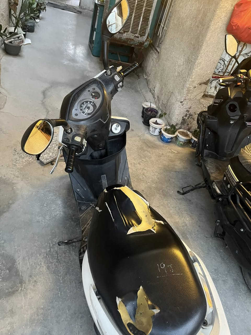 سلام عليكم ثعلب 140 نكره سلف نقص بس الذيل (مفتوحه ومفشوگه ) سعر 400 وبيها مجال (التواصل ***********)
