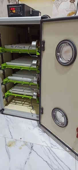 متاح فقاسه جيموكه سعة 120 بيضه ب550
العنوان البصرة القرنه بني منصور مكلف بلنشر ***********
