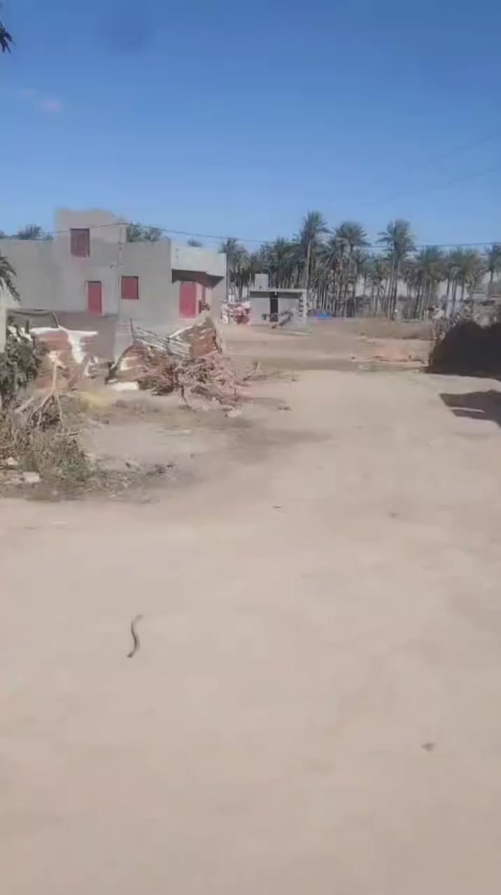 هياكل ثنين البيع سعر 68 وبيهن مجال قليل مساحه الكليه 800 متر مقسمه ع بيتيت كل بيت 400 مساحه البناء 200 الموقع أبو فليس قرب بيت الدكتور حسام يم سده أبو فليس قريبات ع سده أبو فليس ***********
