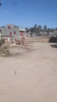 أبو فليس • ٨٠٠م • هياكل ثنين