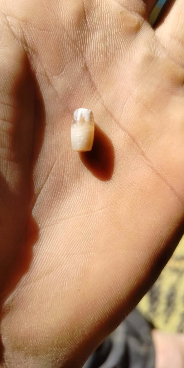 للبيع 

أصلي ✨


**إذا كنت صاحب هذا الإعلان وتريد حذفه لأي سبب، رجاءا أرسل رسالة إلى الدعم الفني**