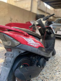 دراجة • بصرة • جنينة