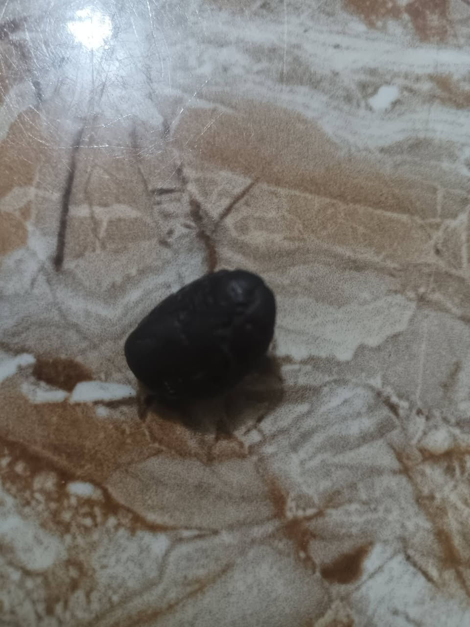 للبيع شلعه وحده مجربات 250 قفل


**إذا كنت صاحب هذا الإعلان وتريد حذفه لأي سبب، رجاءا أرسل رسالة إلى الدعم الفني**