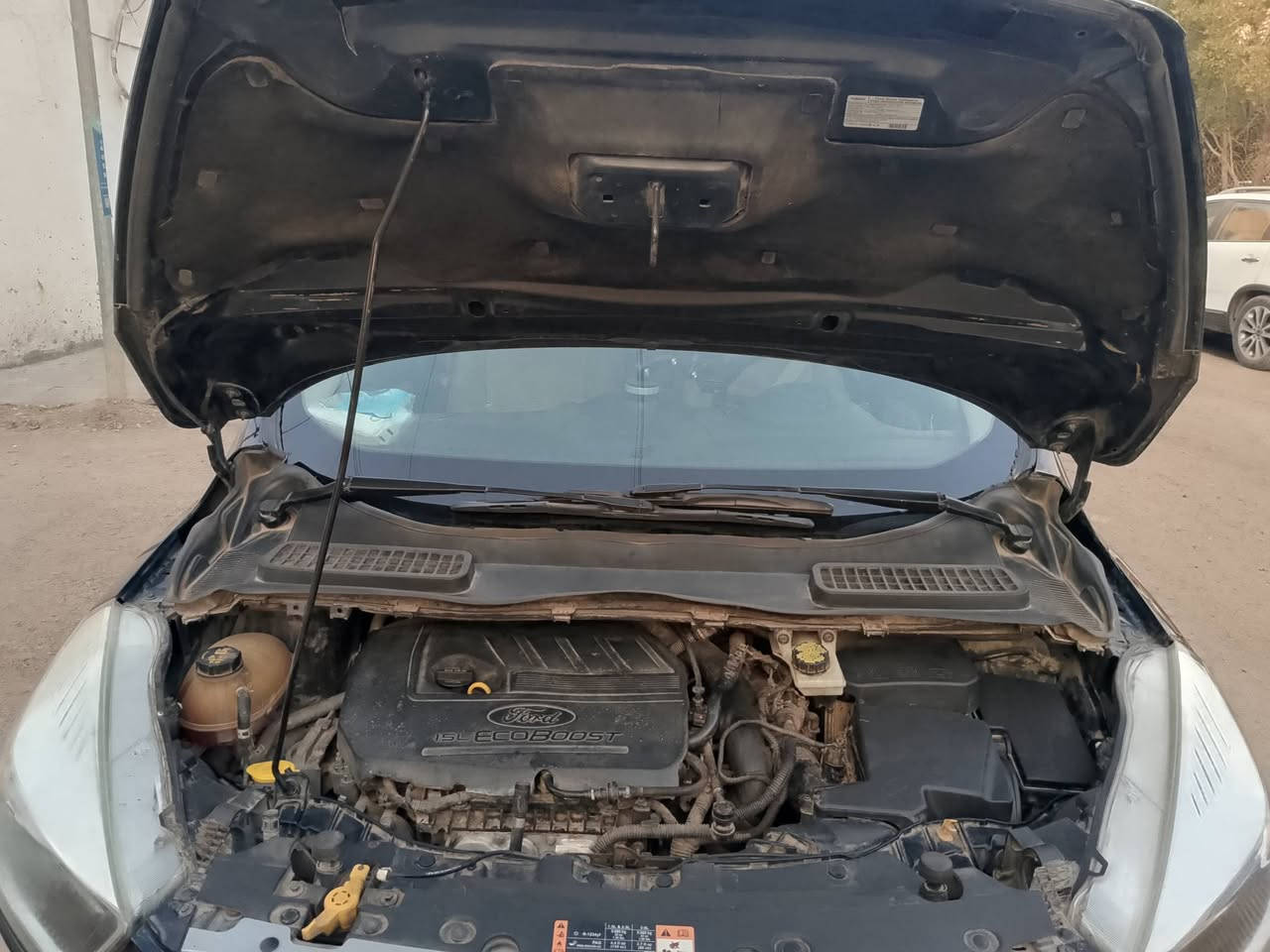 سلام عليكم
سياره فورت سكيب موديل ( 2017 ) للبيع 
١ـ محرك ( ٢٠٠٠ ) تيربو كير مكينة شرط 
٢- فول مواصفات وارد خليجي تحكم ستيرن جهتين كشن كهرباء تبريد تدفئه 
٣- كلشي بل سياره سليم وشغالة واي نقص مابيها
تبريد قطعتين سلايت روف كامل قماره 
٥- سياره باسمي تحويل ثاني يوم 
سيارة خير من الله واقتصادية بل صرف 
ضرر السياره صبغ بنيد فقد قطعه وحده يعني 
مكان السيارة بغداد زيونة وهذه رقمي واني خادم 
( *********** )
٩- سعر السياره ( 120 ) وبيها مجال واذا اكو مراوس هم يرهم 
وبيها مواصفات بعد هوايه
