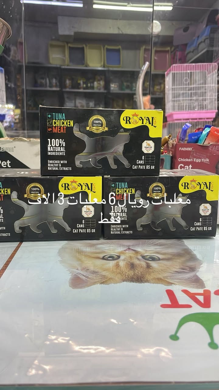 العنوان:بغداد_الشعب_شارع الاسواق المركزية مقابيل مدرسه جندي الباسل :يتوفر جميع مستلزمات حيوانك الاليف 🐈. رقم واتساب ‭***********‬ توصيل متوفر
