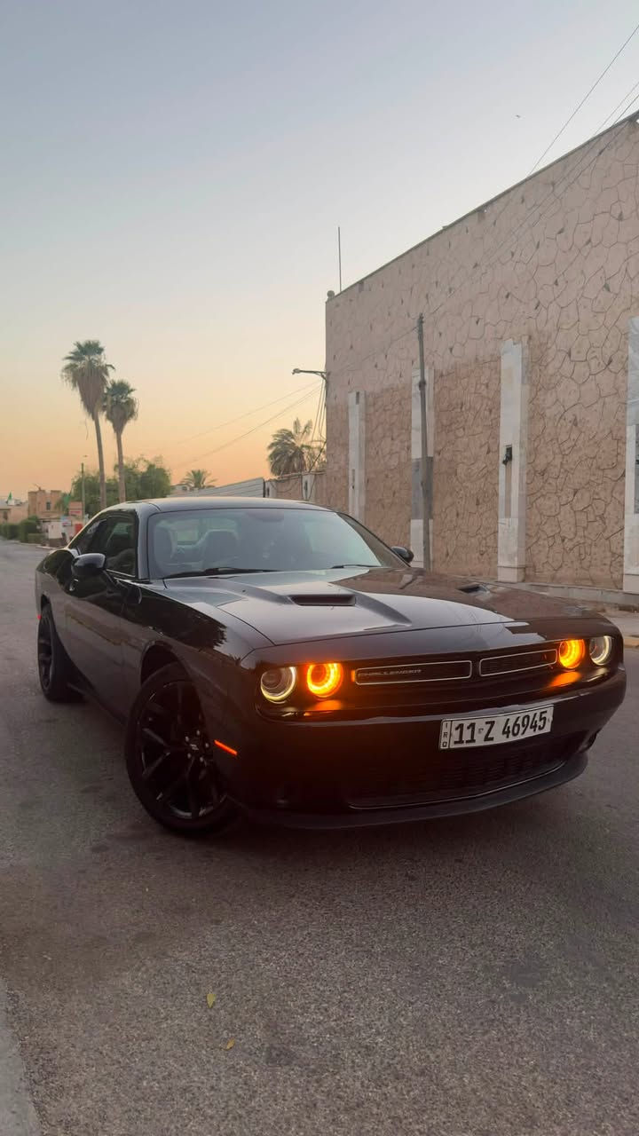 سلام عليكم
دوج جالنجر sxt 23 last call الاصدار الاخير تو ويل كلين تايتل بدون حادث تقرير مياه امطار كفالة مكينة كير اكسل كهربائيات حدادية بشرط ولا كلوب مشتغل بيهة ماشية ٤٦الف مايل
السياره مبدل دهن جديد وتخم تايرات جدد وميبويلهة نانوسيراميك السعر ٢٢٥ اي استفسار هذا رقمي
***********
