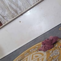 مرمره • ٢م • البصرة