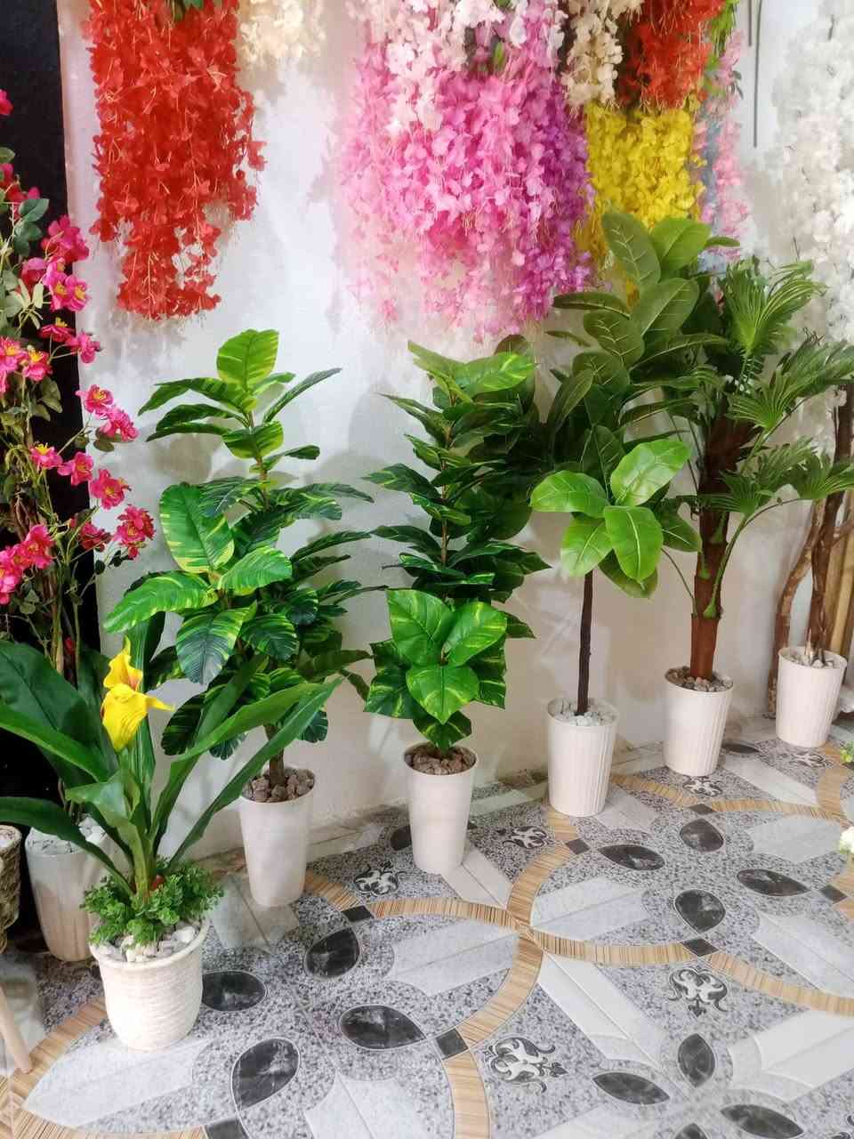 متجر #سعفة

موقعنا شارع حي الجمعية الاولى خلف المركز الصحي

متواجدين يوميا من الساعة 3 عصرا حتى الساعة 11 ليلا

#الانبار #هيت


**إذا كنت صاحب هذا الإعلان وتريد حذفه لأي سبب، رجاءا أرسل رسالة إلى الدعم الفني**