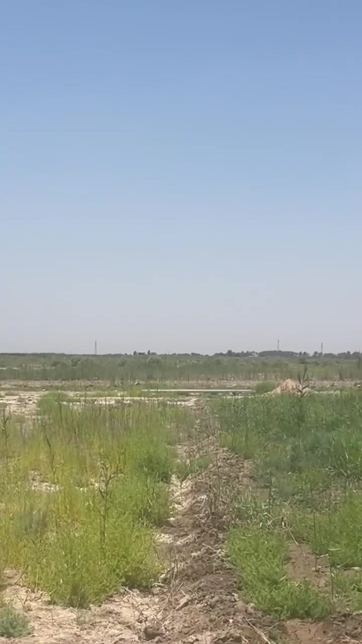 السلام عليكم ورحمة الله وبركاته 
تتوفر  اربع 4️⃣ دوانم طابو 25 على شارعين (ركن)
الخدمات ماء كهرباء 
الموقع ابو غريب الحمدانية الاولى 
للاستفسار اكثر الاتصال على الرقم ***********او واتساب 
سعر الدونم 65ميلون قابل للتفاوض
