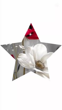 تم الطلب • غرفه نوم