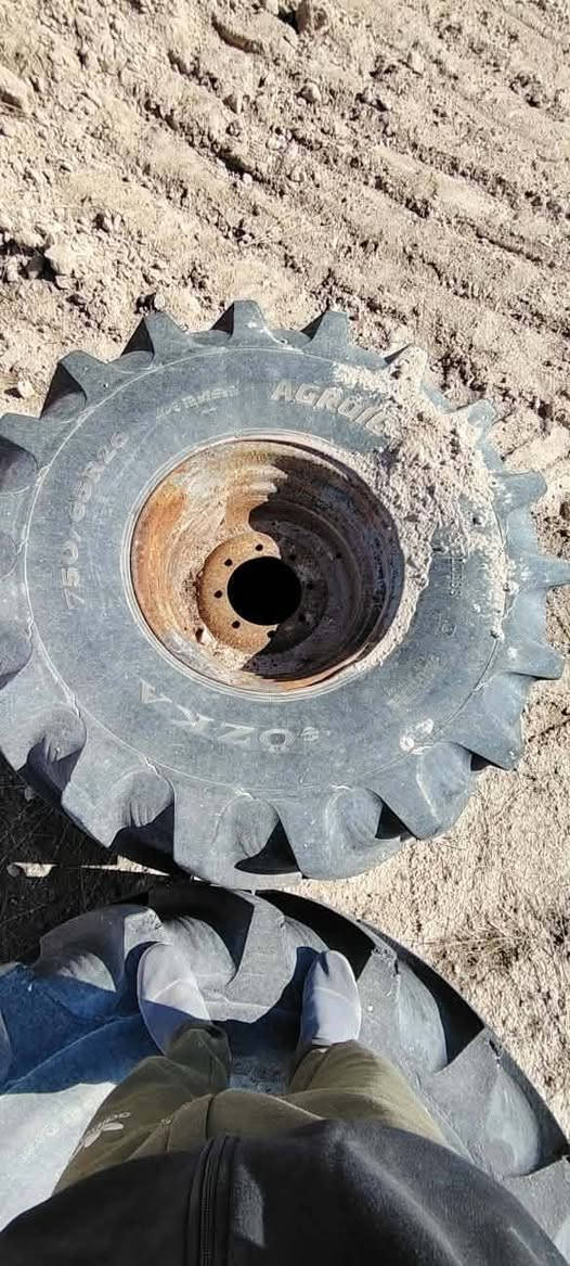 تايرات.حاصده.حرفش.للبيع
مع.الويل.ابو.بدونه
***********
***********.عماد.الزبيدي
