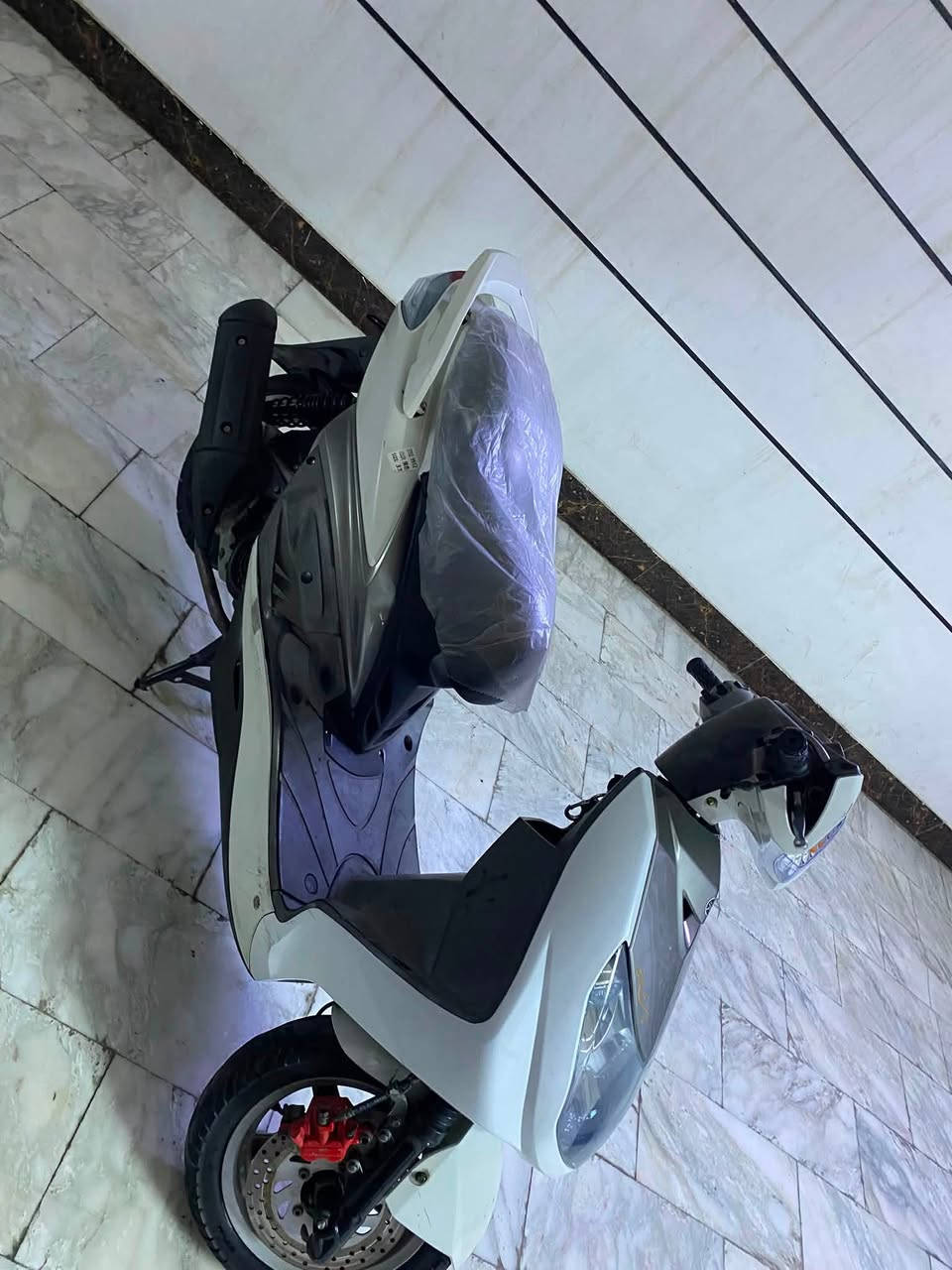 سكنس فحل لبيع سعر950 )***********مكان مدينه صدر
