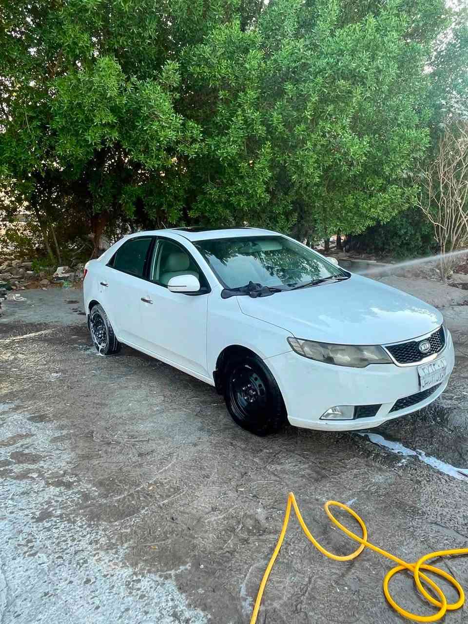 سيراتو 2013 خليجي مكفوله من الصبغ والضربه بيه بارد بسيط 3 اماكن  للبيع بسعر مناسب  جاهزه ب105 ورقه وبيه مجال بسيط 

***********
