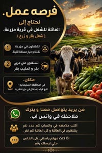 ورحمه الله وبركاته . نحتاج إلى العائلة للشغل في قرية مزرعة. (شغل بقر و...