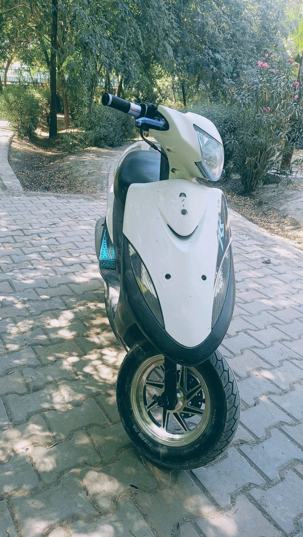 بعقوبة المفرگ