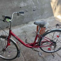 باسكل • نظيف • شاميه