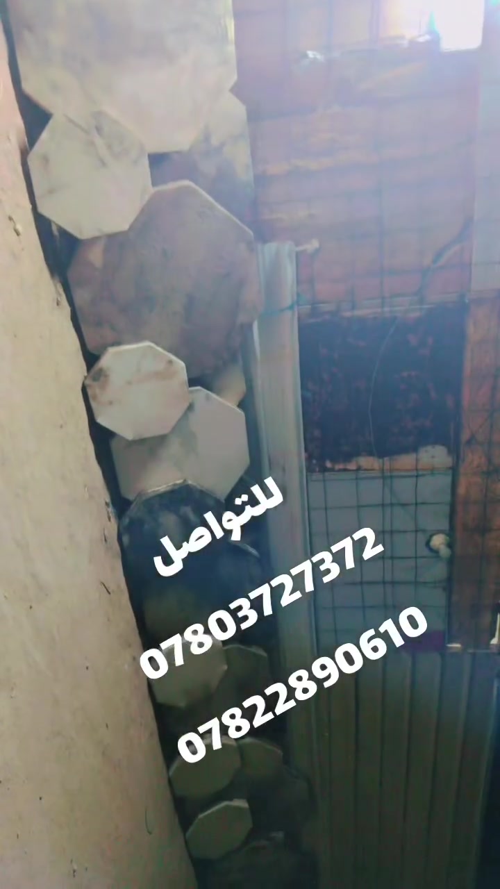 ورشة بركات الحسين.. 
تصليح.. تزگام
كافة القياسات والكميات حسب الطلب 
جملة... مفرد
للتواصل الخاص مفتوح او الاتصال على الرقم ***********
