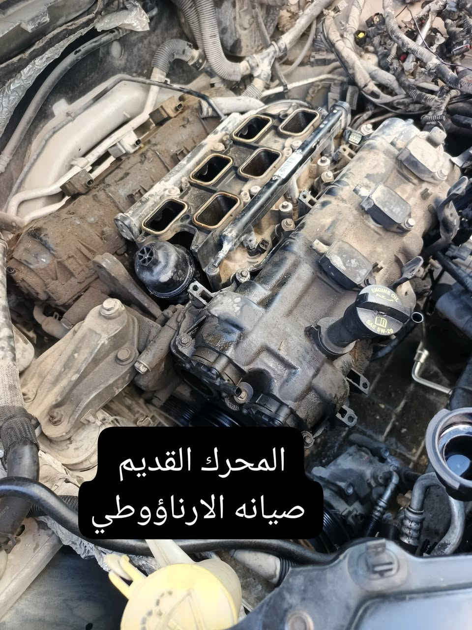 رمضان كريم ..... 
بفضل الله وع بركه الله نتوكل 
#السياره السوده تبديل محرك 3600 حاويه موديل حديثه
#السياره الذهبيه  تبديل فلاوين وكير 
#السياره المارونيه صدر خلفي وحسب عرض

مع تبديل جميع قطع الغيار المستهلكه من دجات كير  وقايش ورولات وبراد دهن  رجعت بلاديه وع وضع الشركه مع ضمان العمل 💪💪

صيانه ابو جميله بخدمتكم 🛠⚒️🛠

***********🌹🌹
