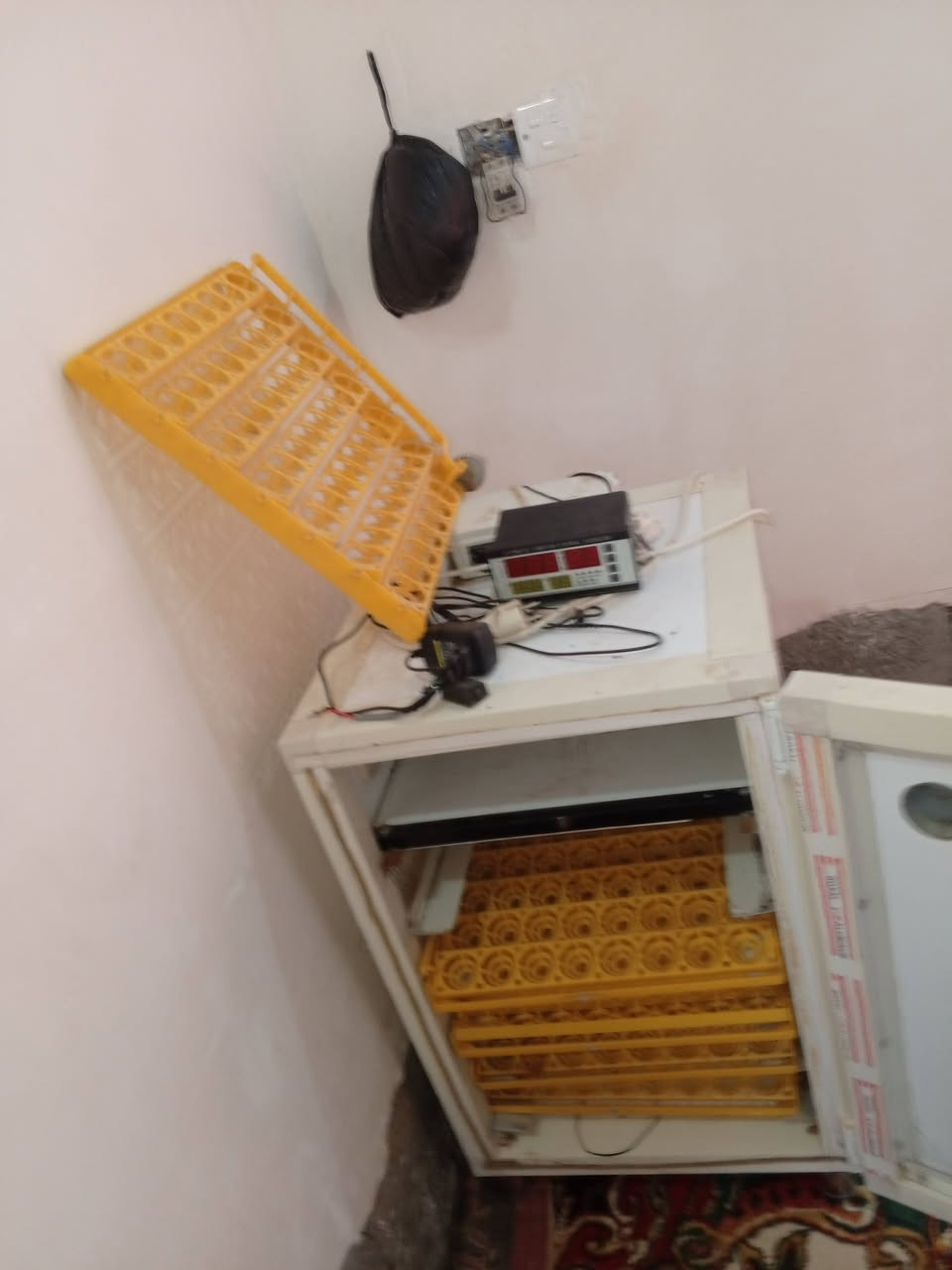 السلام عليكم ورحمه الله وبركاته يوجد فقاسة بيض للبيع للاستفسار الاتصال على صاحبه
***********
