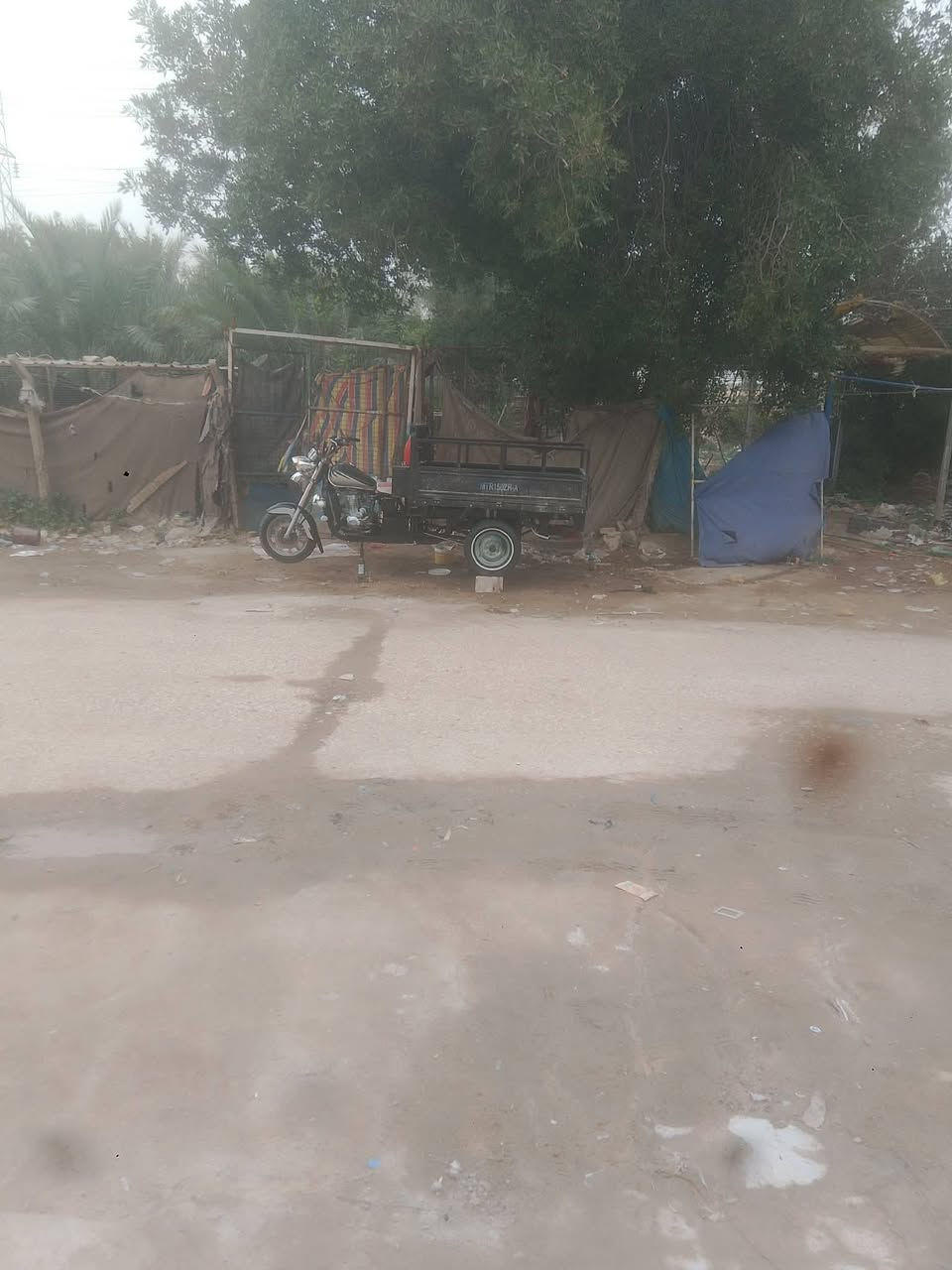 سلام عليكم ستوته للبيع مديل 2016 طالعه بل 2024 ستوته رقم  نكليزي بسمي مداور ثاني يوم  كفاله الستوته من شاصي من ركبه  مكاني نجف ابو صخير  السعر ٢٤٠٠ وبيه مجال للشراي


**إذا كنت صاحب هذا الإعلان وتريد حذفه لأي سبب، رجاءا أرسل رسالة إلى الدعم الفني**