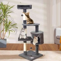 اغراض قطط • توصيل • ماسنجر واتساب