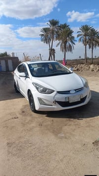 النترا • ٢٠١٥ • سوك الشيوخ