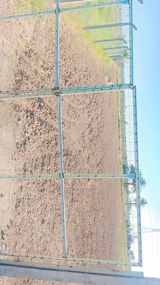 السلام عليكم
كاع طابو زراعي سند25 ع بزل حجي منطقة ابو عرايس كل  الخدمات بيها مدرسة 🏫 قريبة
من مي اسالة او سقي او كهرباء او بير حلو للستفسار الاتصال ***********واتساب مكانها راقي جدا
