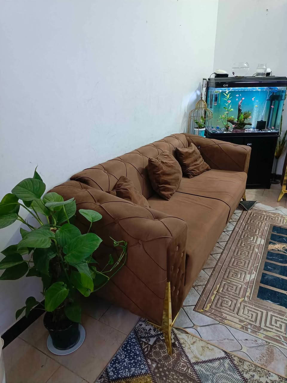 تخم نظيف جدا مصار فترة مشتريته بغداد, العراق


**إذا كنت صاحب هذا الإعلان وتريد حذفه لأي سبب، رجاءا أرسل رسالة إلى الدعم الفني**