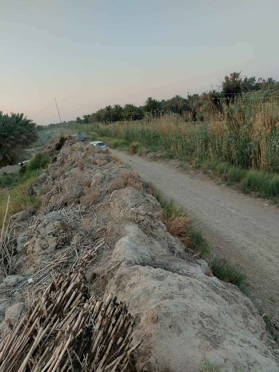 بستان ١١ دونم عقد زراعي قانون ٢٤ لسنة ٢٠٢٤ مجدد لغاية ٢٠٣٥ فيه مشيدات من البلوك مشتمل ومغروسات نخيل أكثر من ١٠٠ نخلة مثمرة سعر الدونم الواحد ٣٥ مع المجال 
العنوان الديوانية حي الفرات خلف الطاقة الكهربائية 
للاستفسار الاتصال *********** 
أو مراجعة مكتب عقار الخليفاوي
