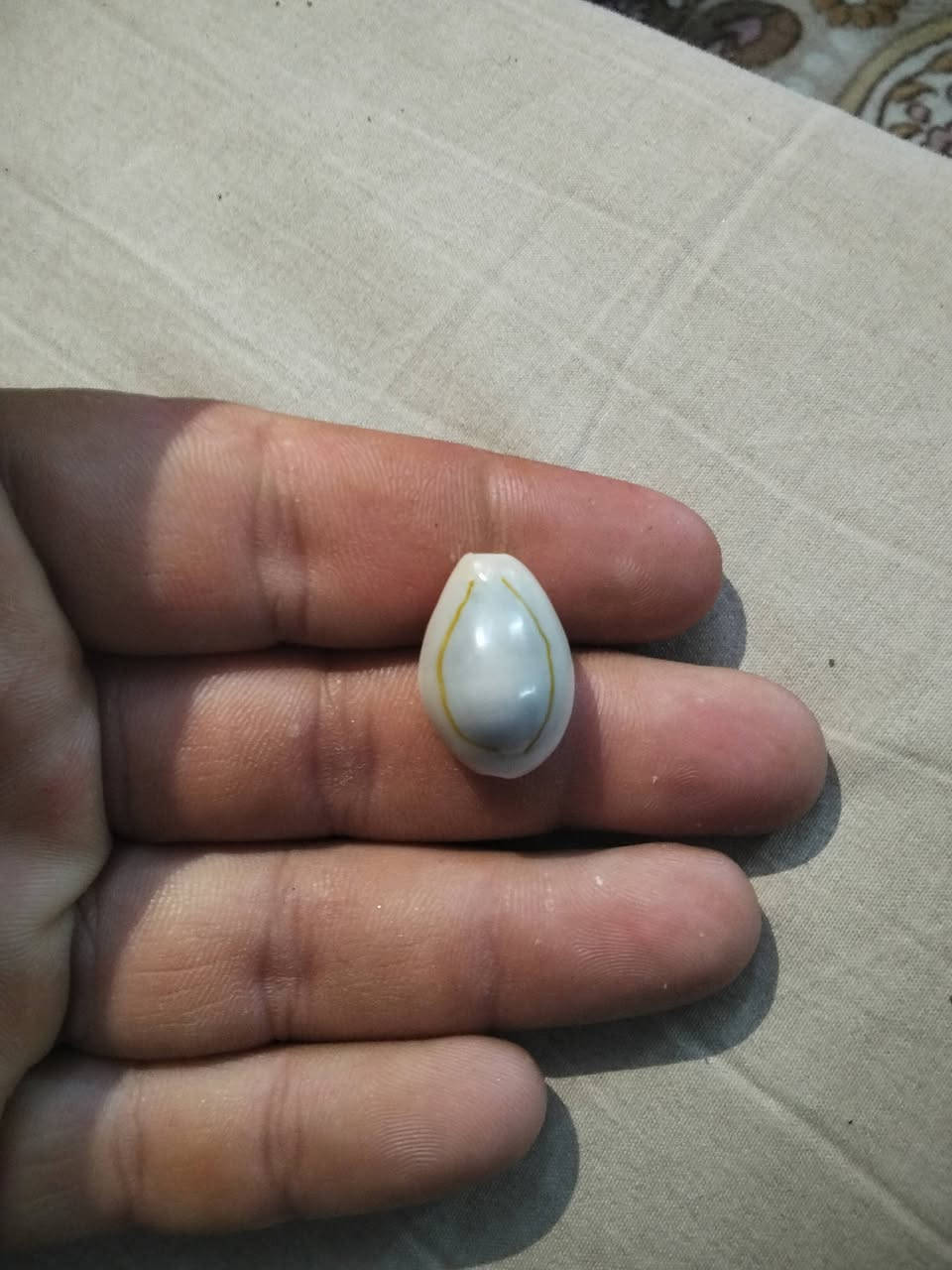 اخوان عندي ذني مجموعه احجار اريد ابيعهن كلهن وسعرهن مناسب  ابيعهن كلهن ماطشرهن  اليريدهن يكتب تم بل تعليقات ويراسلني خاص


**إذا كنت صاحب هذا الإعلان وتريد حذفه لأي سبب، رجاءا أرسل رسالة إلى الدعم الفني**