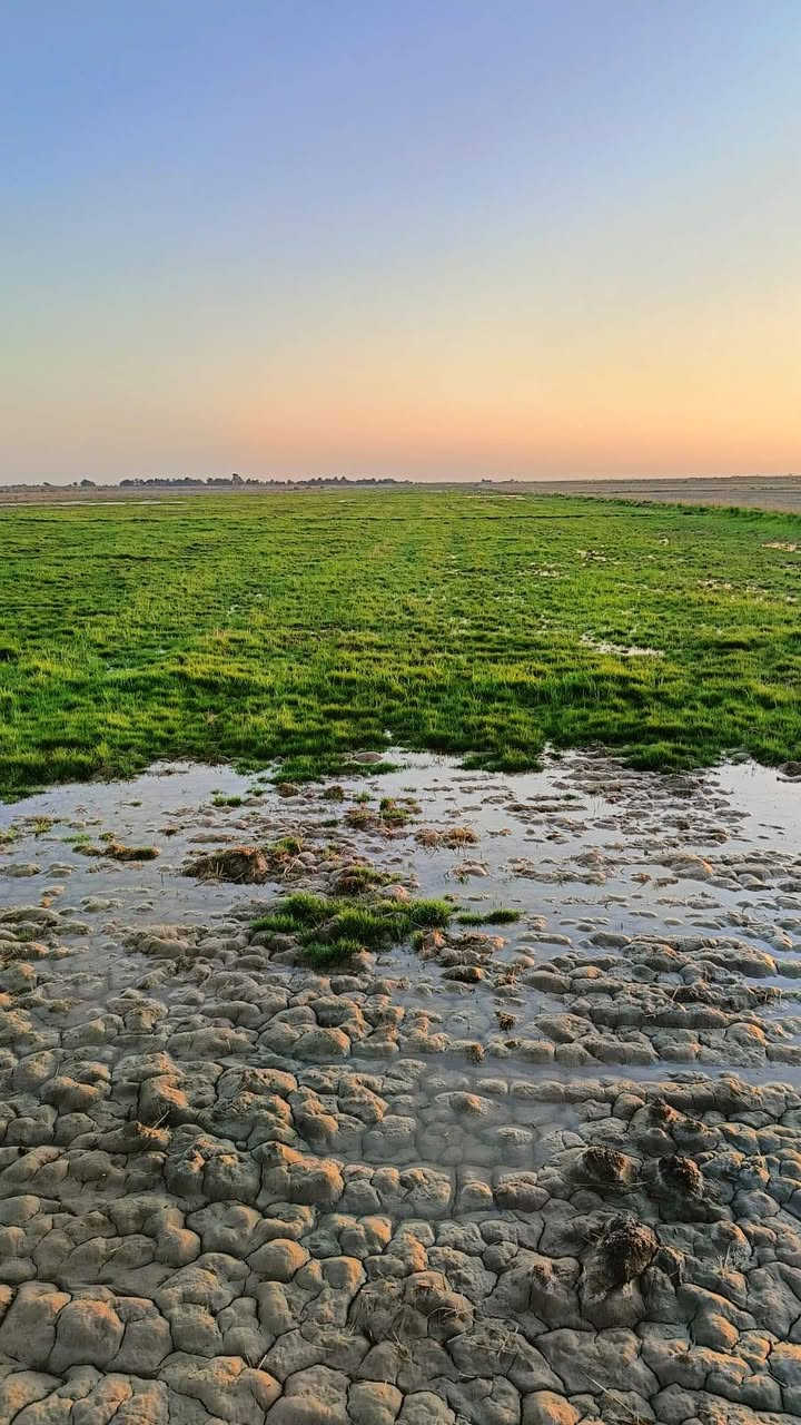 ا
ارض زراعيه 22 دونم مكتوله للحلال .للبيع .في ضواحي الفجر .اتصال عالرقم ***********
