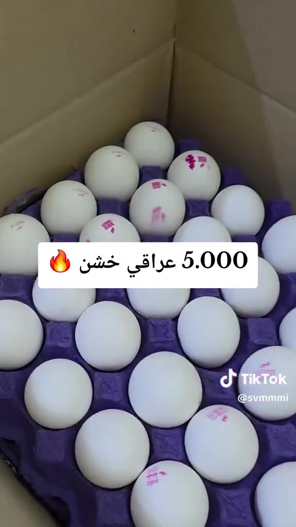 اتوفر، بيض ابيض عراقي خشن.   سوق شهداء سيف سعد مقابل ماكولات سيد مقداد


**إذا كنت صاحب هذا الإعلان وتريد حذفه لأي سبب، رجاءا أرسل رسالة إلى الدعم الفني**