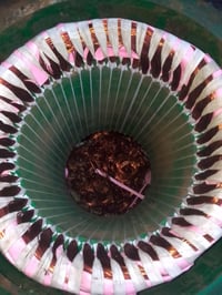 لف موقعي مع الضمان ست أشهر 07803386522