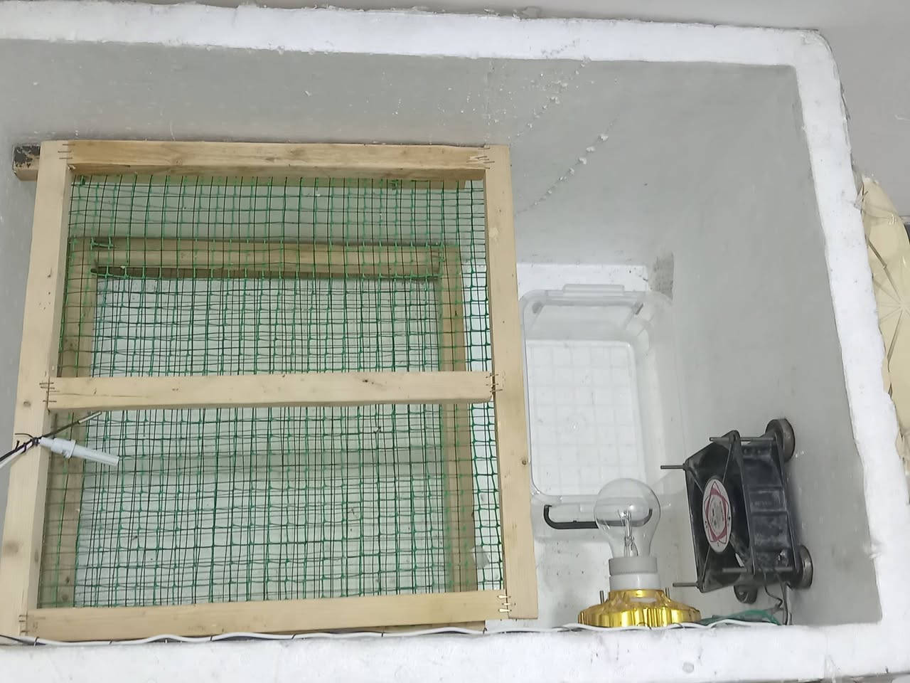 سلام عليكم عاكسة مكزمة هندي باب اولا حجم 850 اربعه امبير شغاله وعالشرط كل مشكله مابيها السعر 85 وبيها مجال + فقاسة فلين حجم 100بيضة شرط الشغل وتفقيس السعر 50 وبيها مجال العنوان الديوانيه طريق الدغارة مقابل جامع زبيد الانتصال ***********
