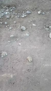 البولاني • سند ٢٥ • ٣٥٠م