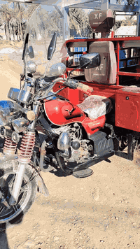 ستوته ام الطير • موديل ٢٤ • ديالى الخالص