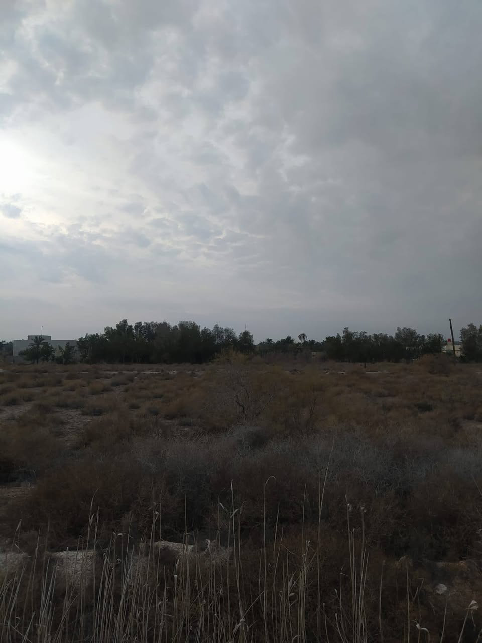 #اسعد_الله_اوقاتكم_بكل_خير⁉️👋

أرض للبيع 

#المساحة::11دونم 

#العنوان:: البصرة أبو الخصيب منطقة حمدان قرب جامع المعاريف 

#جنس_العقار::طابو مالك صرف زراعي تحويل 

شارع 12متر 
جميع الخدمات متوفرة ماء كهرباء مدارس نت كلشي قريب على 
#السعر((دونم الواحد 310مليون))
#اللاستفسار:: إلا تصال على الهاتف ☎️📞 
☎️((***********))☎️
