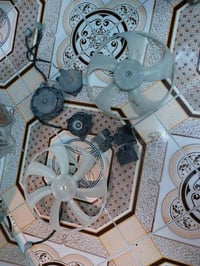 اصلي • تفصيخ • رخصت