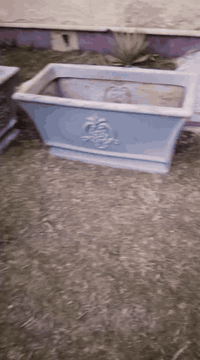 للاستفسار خاص ***********
