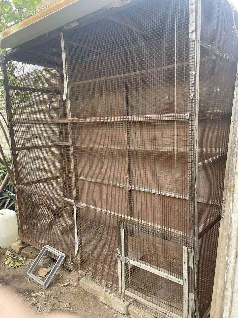 السلام عليكم 
قفص للبيع 
الارتفاع: مترتين 
العرض: مترتين 
السعر :125الف 
العنوان :الطارميه


**إذا كنت صاحب هذا الإعلان وتريد حذفه لأي سبب، رجاءا أرسل رسالة إلى الدعم الفني**