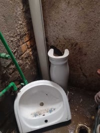 ١٥ • ديكور